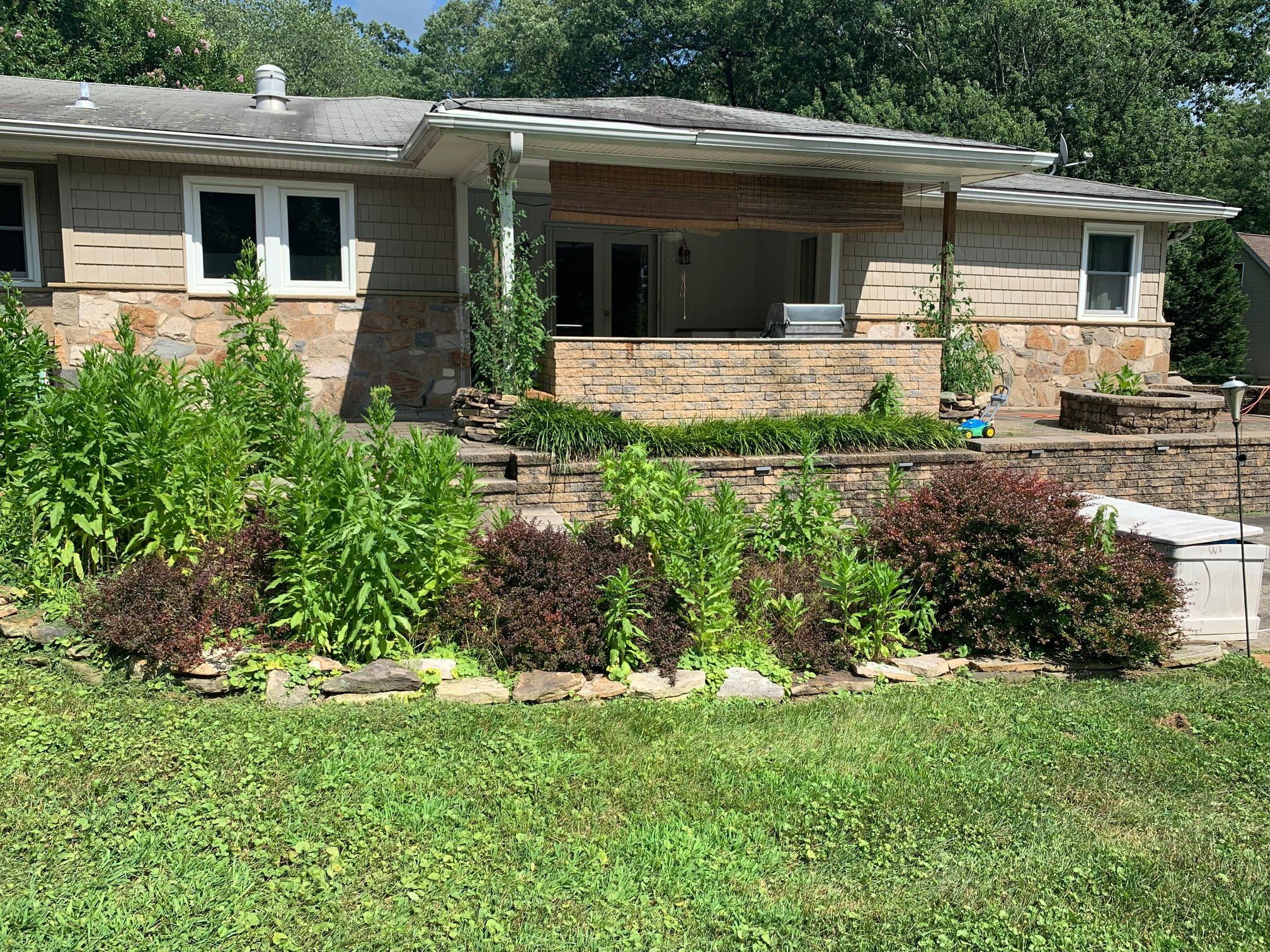 Lawn Maintenance — before