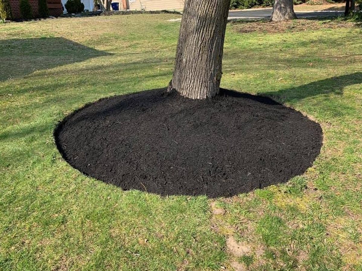 Mulch & Stone — after