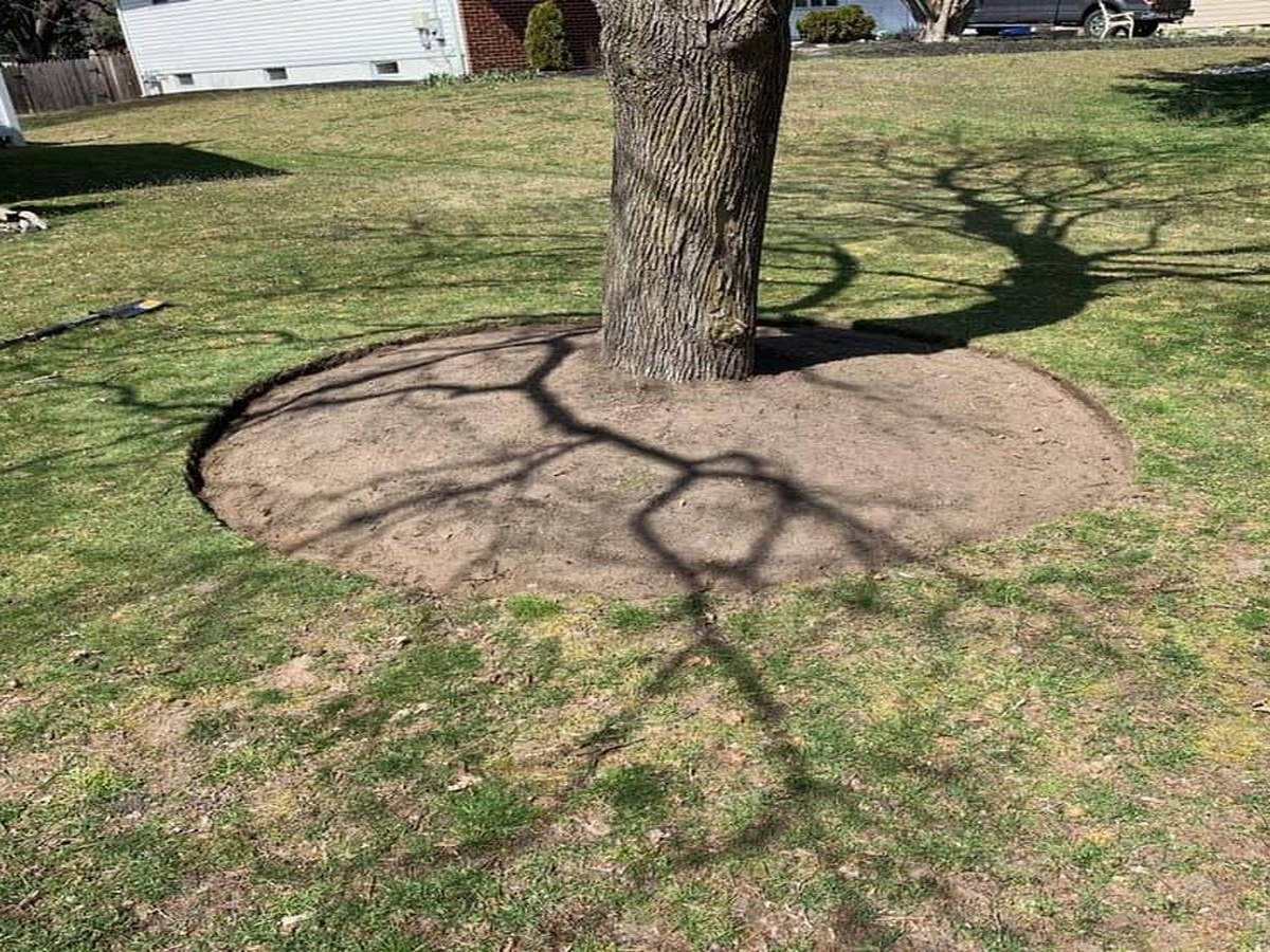 Mulch & Stone — before
