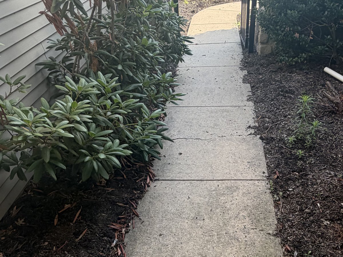 Hardscaping & Pavers — before