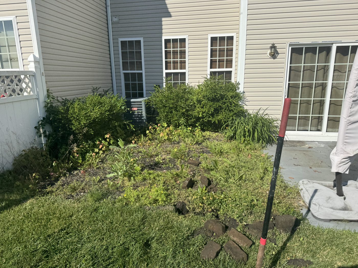 Backyard before