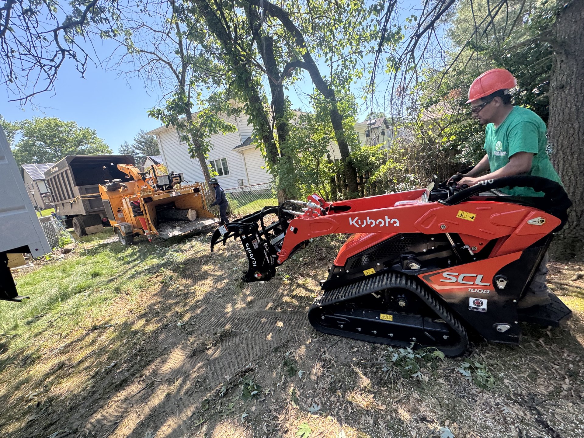 Tree Services